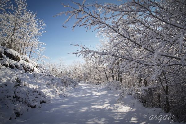 invierno2A346891C-E8D5-733D-7935-78ED512D1F8E.jpeg