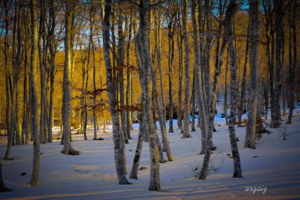 invierno3D14C9A29-724E-6413-91D9-E4F0EB7BDB3E.jpeg