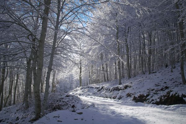 inviernoBA58A8FF-3FB0-4083-26B7-55FB6C0499D4.jpeg