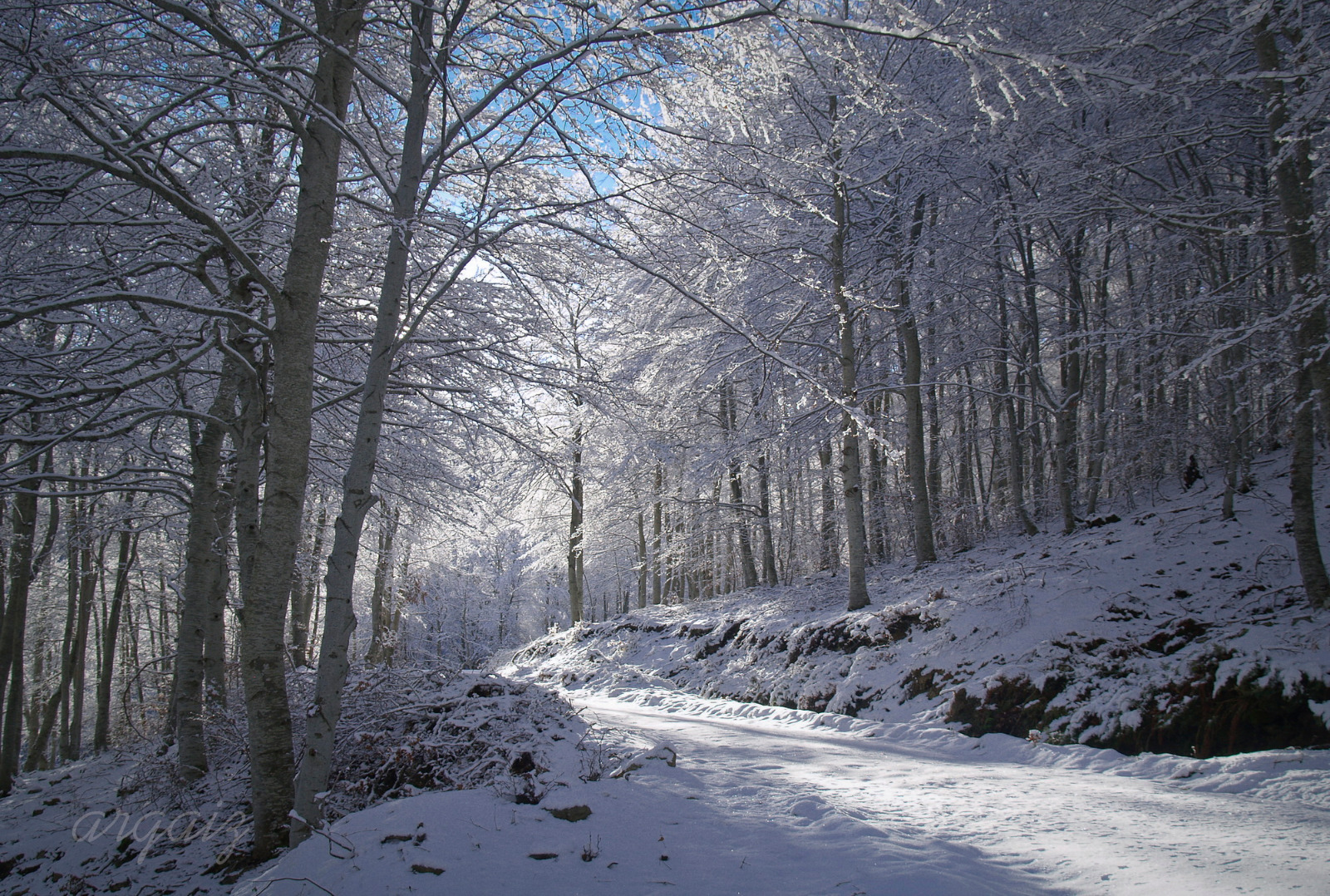 Invierno en Zarzosa