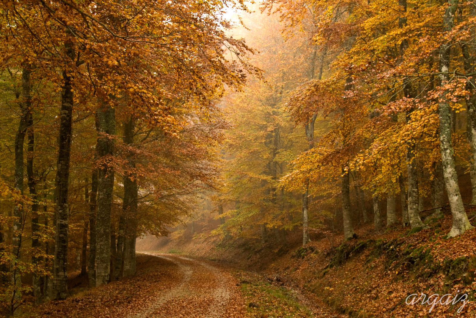 Otoño en Zarzosa