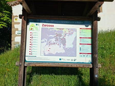 Zonas micológicas de Zarzosa